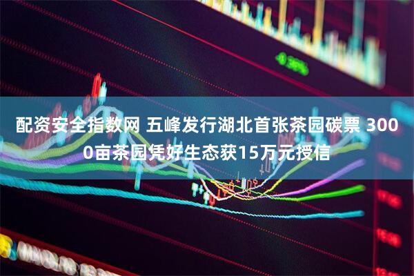 配资安全指数网 五峰发行湖北首张茶园碳票 3000亩茶园凭好生态获15万元授信
